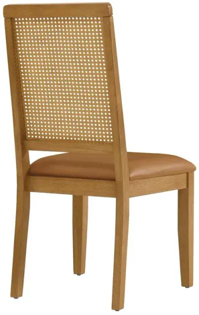 Arlo Vegan Leather Upholstered Faux Rattan and Wood Dining Side Chairs - Set of 2