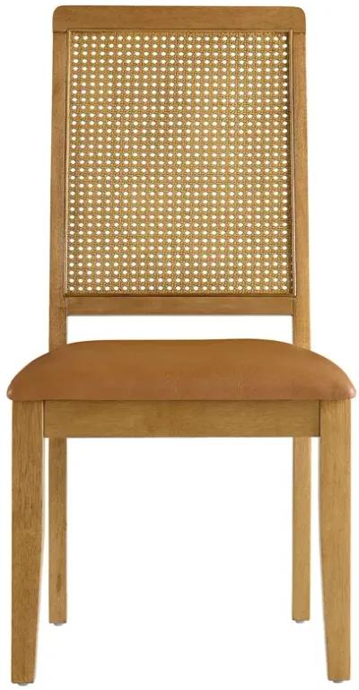 Arlo Vegan Leather Upholstered Faux Rattan and Wood Dining Side Chairs - Set of 2