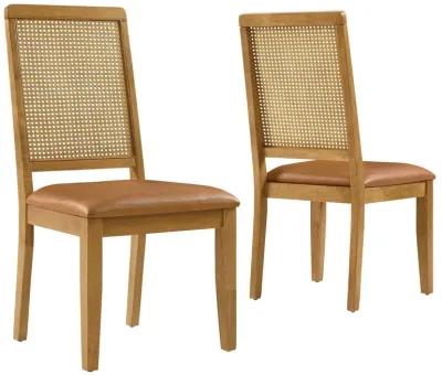 Arlo Vegan Leather Upholstered Faux Rattan and Wood Dining Side Chairs - Set of 2