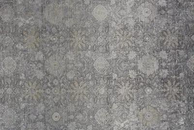 Sarrant 3965F Gray/Silver/Tan 2' x 3' Rug