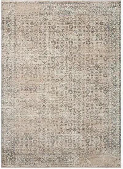 Blake Beige/Denim 11'6" x 15'7" Rug