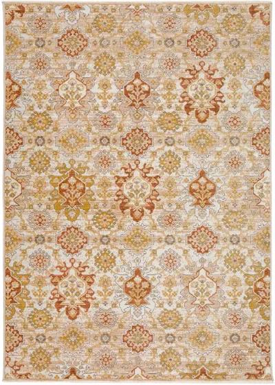 Odessa OD7 Beige 3' x 5' Rug