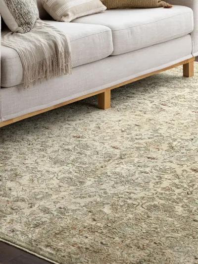 Divina Sanctum Cream 5' X 7'10" Rug