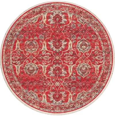 Marbella MB5 Poppy 6' Rug