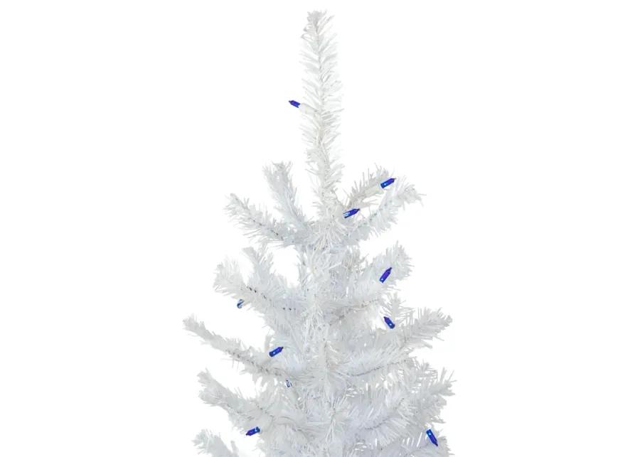 4' Pre-Lit Woodbury White Pine Slim Artificial Christmas Tree  Blue Lights