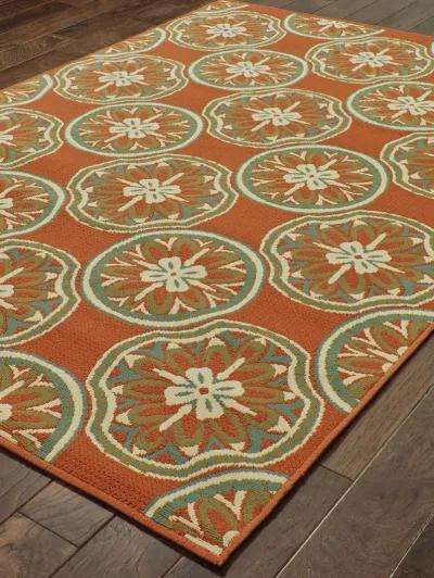 Montego 5'3" x 7'6" Rust Rug