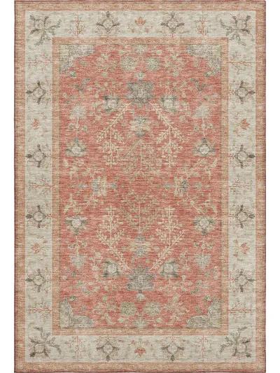 Hatay HY9 Coral 9' x 12' Rug