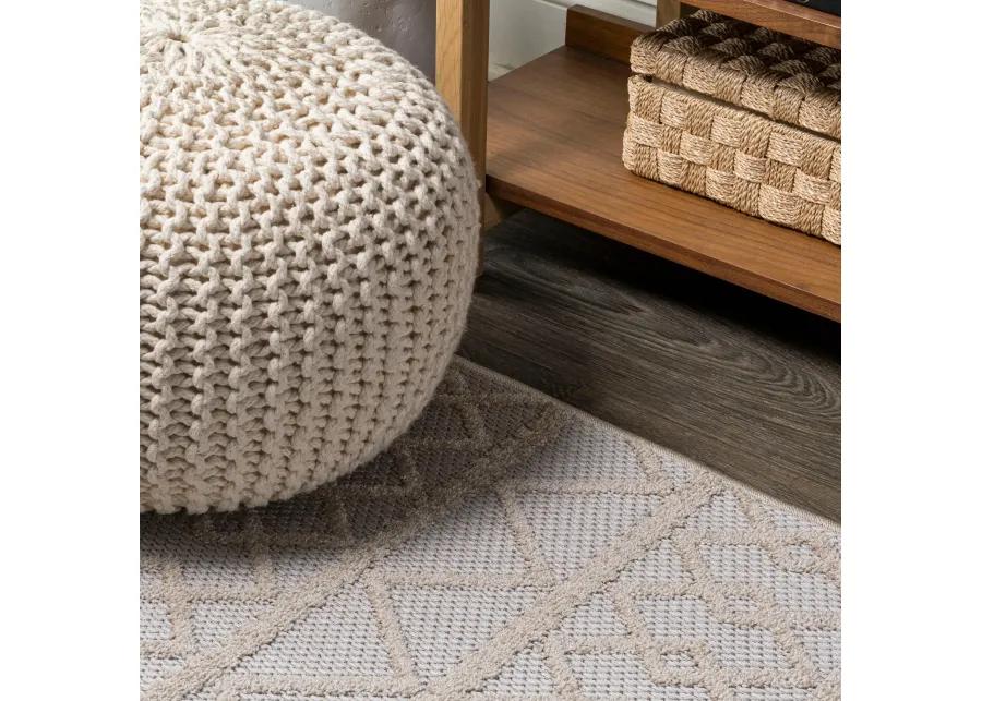 Aylan High-Low Pile Knotted Trellis Geometric Indoor/Outdoor Area Rug