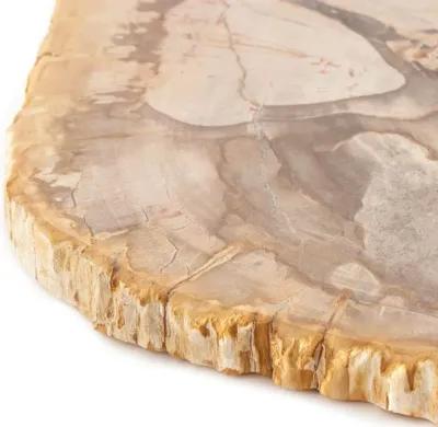 Petrified Wood Slab