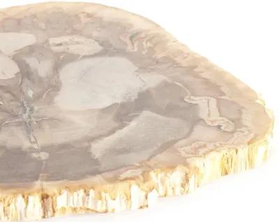 Petrified Wood Slab