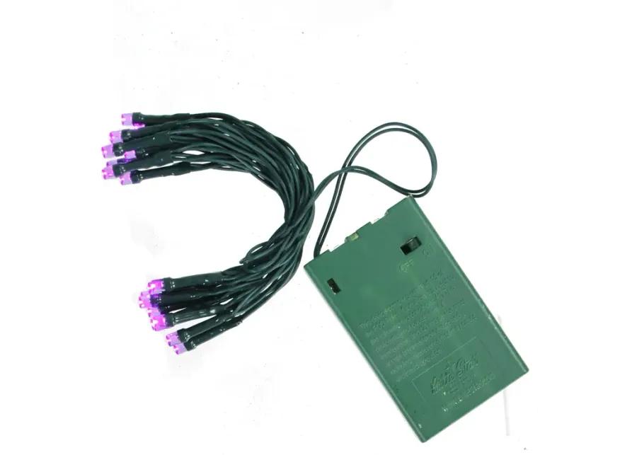 20 Purple LED Wide Angle Mini Christmas Lights - 6.25 ft Green Wire