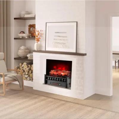 Hivvago 20 Inch Electric Fireplace Heater with Realistic Birchwood Ember Bed-Black