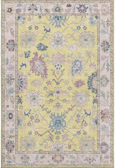 Hatay HY7 Yellow 30" x 46" Rug