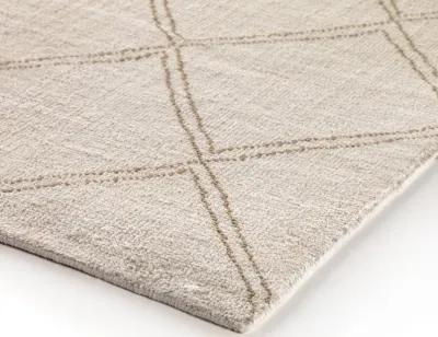 Palmeri 10' x 14' Outdoor Rug