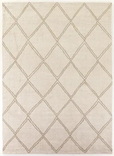 Palmeri 10' x 14' Outdoor Rug