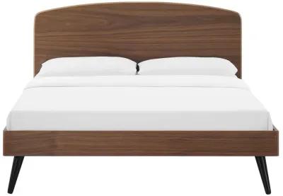 Modway - Bronwen Full Wood Platform Bed Walnut