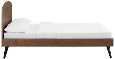 Modway - Bronwen Full Wood Platform Bed Walnut