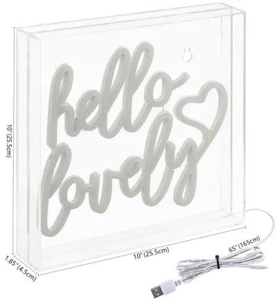 Hello Lovely 10" Square Contemporary Glam Acrylic Box USB Operated LED Neon Light, Pink