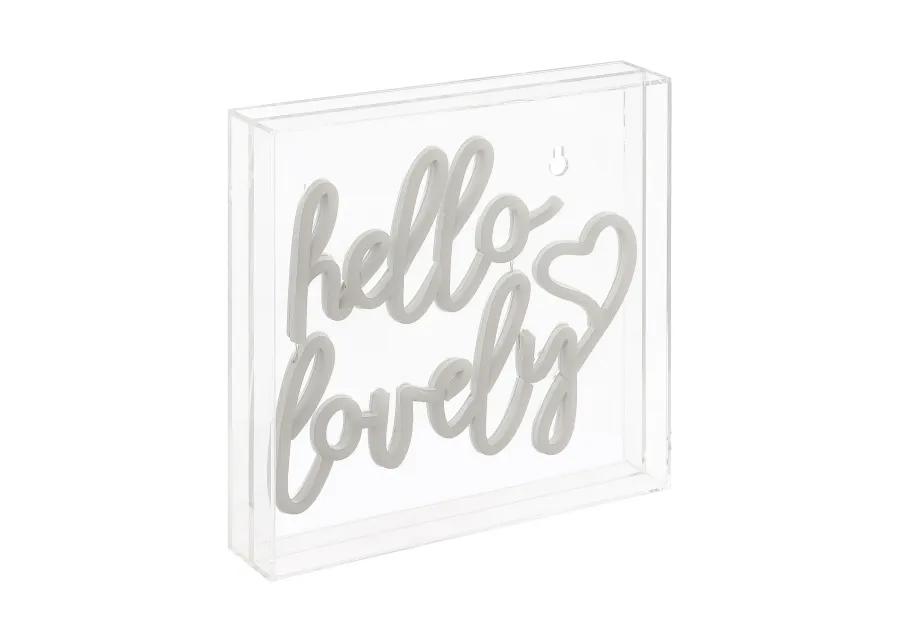 Hello Lovely 10" Square Contemporary Glam Acrylic Box USB Operated LED Neon Light, Pink