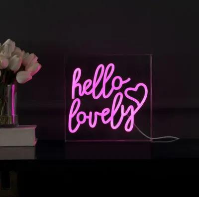 Hello Lovely 10" Square Contemporary Glam Acrylic Box USB Operated LED Neon Light, Pink