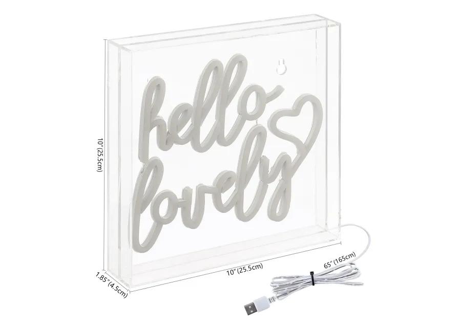 Hello Lovely 10" Square Contemporary Glam Acrylic Box USB Operated LED Neon Light, Pink