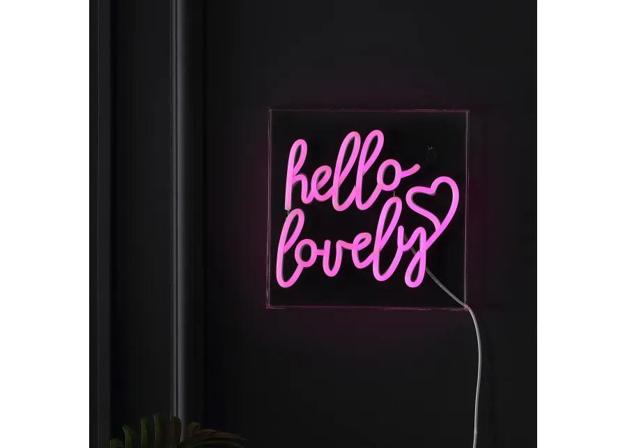 Hello Lovely 10" Square Contemporary Glam Acrylic Box USB Operated LED Neon Light, Pink