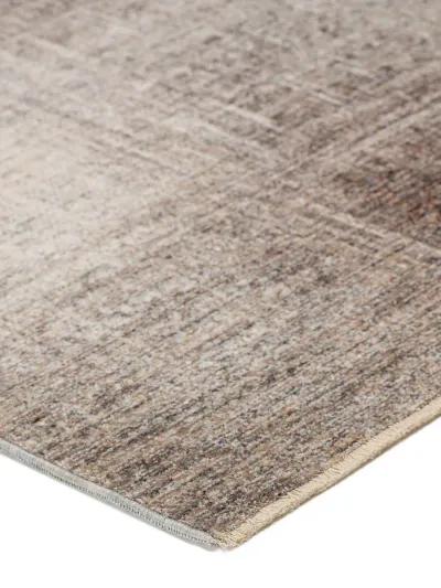 Neola NA5 Beige 3' x 5' Rug