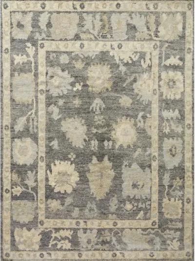 Clement CLM05 Midnight/Antique Ivory 11'6" x 15' Rug