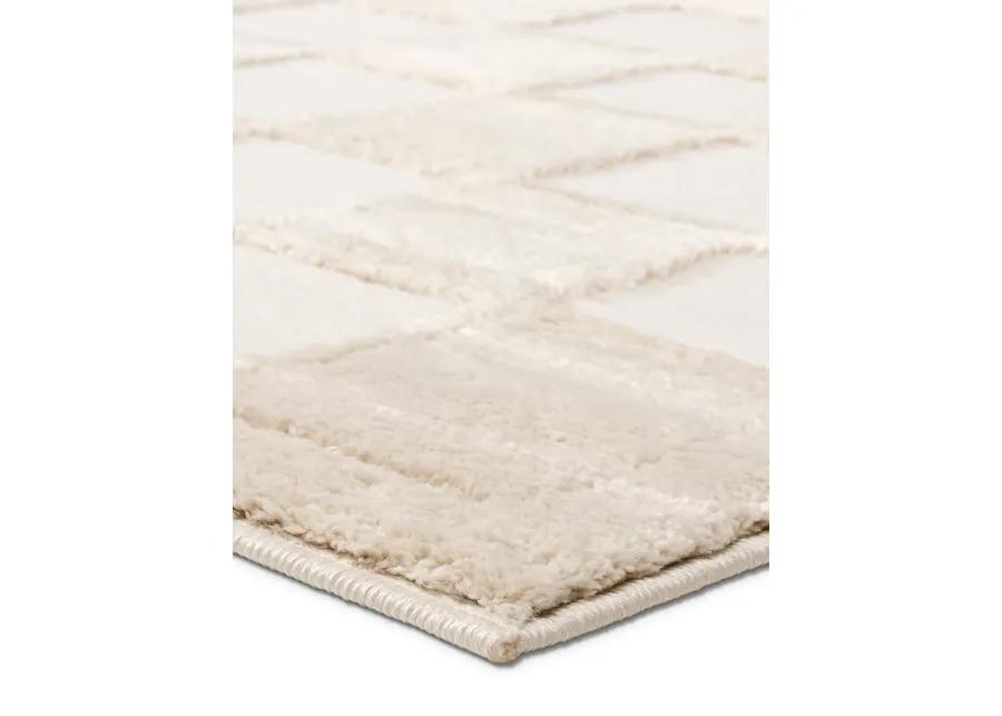 Catanza Jaida 2'5"x10' Rnr Rug