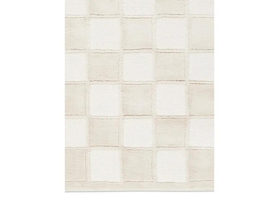 Catanza Jaida 2'5"x10' Rnr Rug