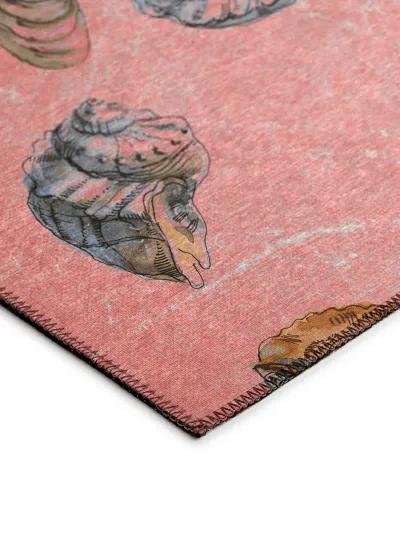 Seabreeze SZ9 Salmon 30" x 46" Rug