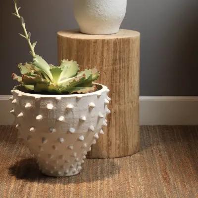 Agave Wood Side Table