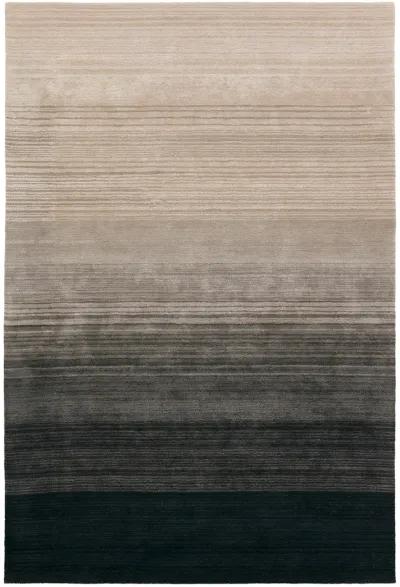 Cambrian Zepour Black 5' x 8' Rug