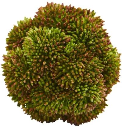 HomPlanti 4" Sedum Artificial Succulent Artificial Spheres (Set of 6)