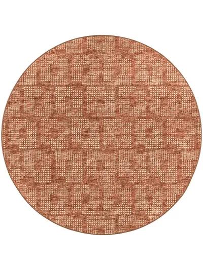 Delano DA1 Paprika 6' Rug