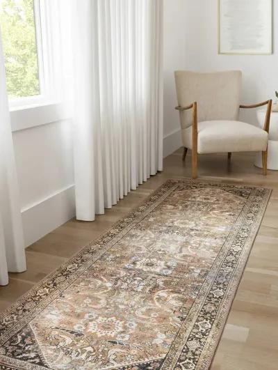 Wynter WYN02 Auburn/Multi 3'6" x 5'6" Rug