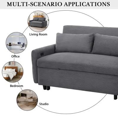 Merax Pull-out Sofa Bed Convertible Couch