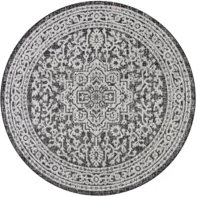 Sinjuri Medallion Textured Weave Indoor/Outdoor Area Rug