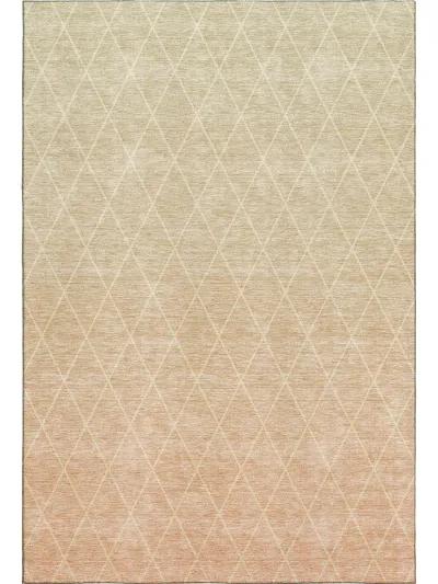 Lazio LZ2 Salmon 20" x 30" Rug