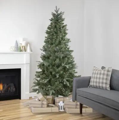 6.5' Pre-Lit Slim Granville Fraser Fir Artificial Christmas Tree  Clear Lights