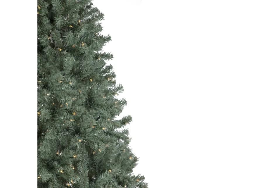 7.5' Pre-Lit Colorado Blue Spruce Artificial Christmas Tree  Clear Lights