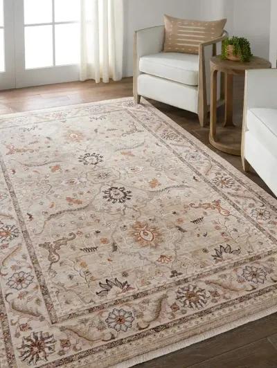 Zefira Romano Tan/Taupe 10' x 14' Rug