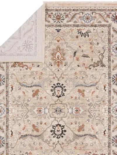 Zefira Romano Tan/Taupe 10' x 14' Rug