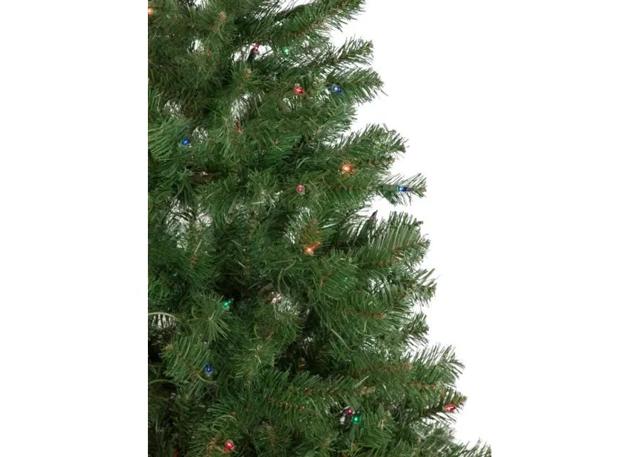 6' Pre-Lit Wilson Pine Slim Artificial Christmas Tree  Multi Lights