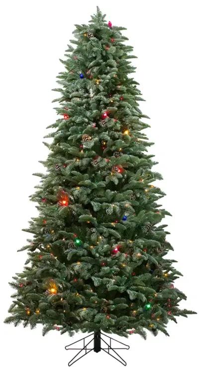 6.5' Pre-Lit Medium Frosted Dunton Spruce Artificial Christmas Tree - Multi-Color Lights