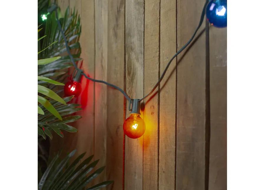 10 Multi-Color Transparent G40 Globe Christmas Lights - 9' Green Wire