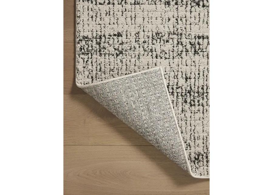 Darby DAR02 2'7" x 10'" Rug