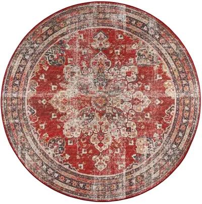 Jericho JC6 Garnet 8' Rug