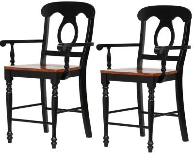 Black Cherry Bravo Selections 42.5 in. Antique Black with Cherry Rub High Back Wood Frame 24 in. Bar Stool (Set of 2)