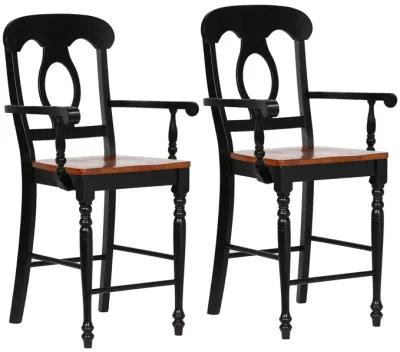 Black Cherry Bravo Selections 42.5 in. Antique Black with Cherry Rub High Back Wood Frame 24 in. Bar Stool (Set of 2)